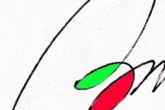 Rilievo fotografico al microscopio 2