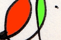 Rilievo fotografico al microscopio 3