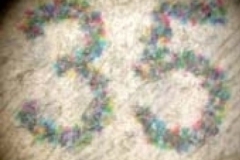 Rilievo fotografico al microscopio 1